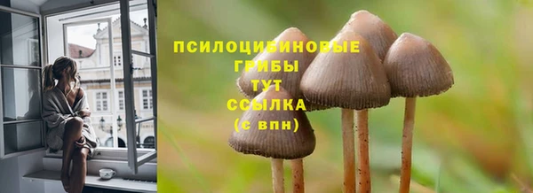 молекула духа Белокуриха