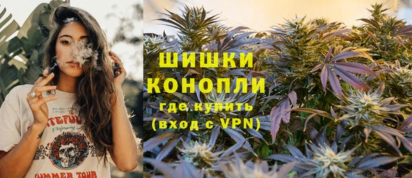 молекула духа Белокуриха