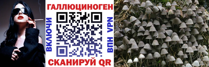 Псилоцибиновые грибы GOLDEN TEACHER  Купить закладки  Черемхово 